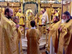 Архиепископ Чикагский и Средне-Американский Петр служил Божественную литургию на Сербском Подворье в Москве