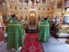 Епископ Антоний совершил Божественную Литургию на Подворье Православной Церкви Чешских земель и Словакии