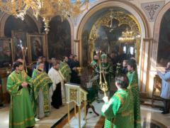 Божественная литургия в Вербное воскресенье в храме святых апостолов Петра и Павла в Москве