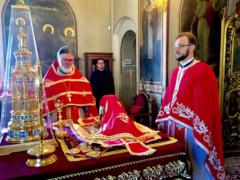 Божественная литургия в среду 6-й седмицы по Пасхе на Сербском подворье в Москве